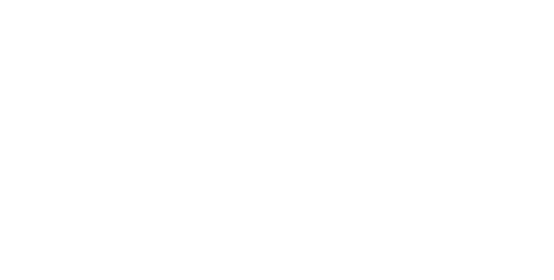 Branson City Logo